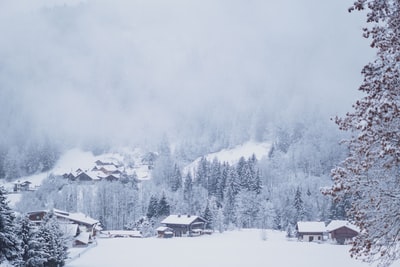 白天，积雪覆盖了房屋和树木